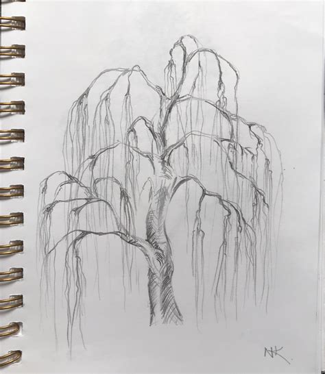 How To Draw A Wheeping Willow Tree Artofit