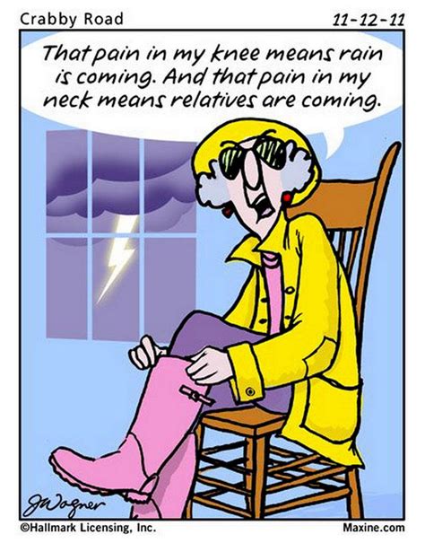 Pin By Yvette Burleigh On Maxine Humor Funny Quotes Maxine Funny Cartoons