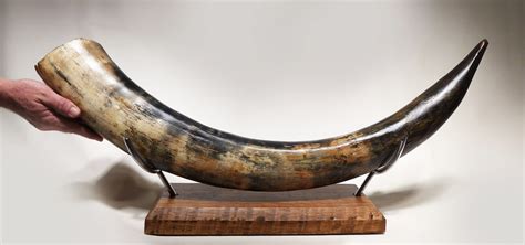 Blue Ivory Woolly Mammoth Tusk For Sale