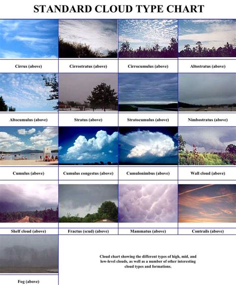 Cloud Chart Weather Science Weather And Climate Cloud Type