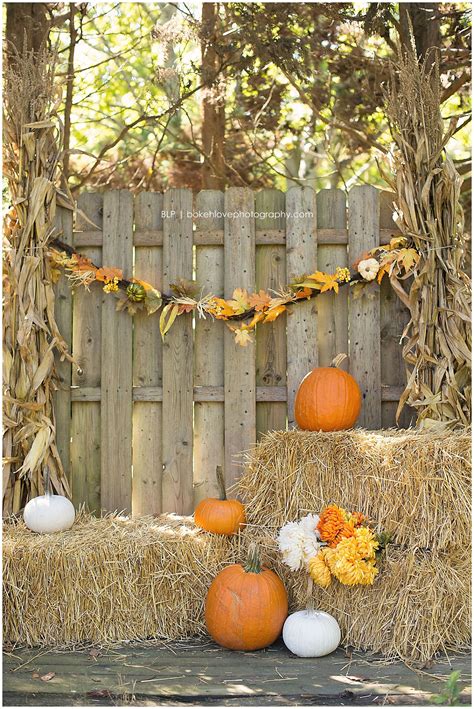 Harvest Mini Sessions Fall Backdrops Fall Photo Props Fall Photo Booth