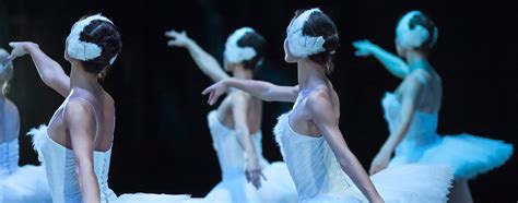 Swan Lake The Best Ballet • Art De Vivre