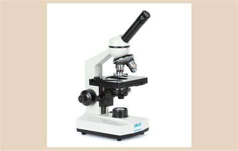 Mikroskop Pengertian Fungsi Bagian Jenis Markas Belajar