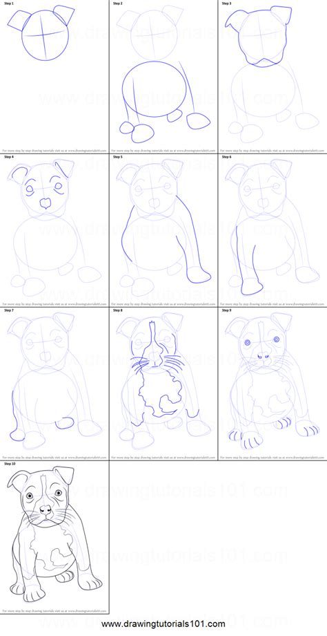 How To Draw A Pitbull Puppy Printable Step By Step Drawing Sheet