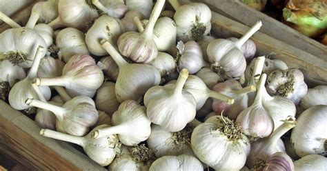 Eine überschaubare auswahl im eigenen garten kann knoblauch problemlos angebaut werden. Knoblauch lagern: Die besten Tipps zur Aufbewahrung - Mein ...