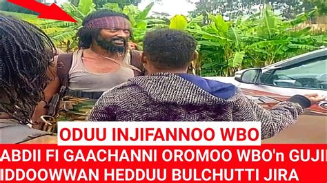 Oduu Injifannoo Wbo Abdii Fi Gaachanni Oromoo Wbon Gujii Iddoowwan