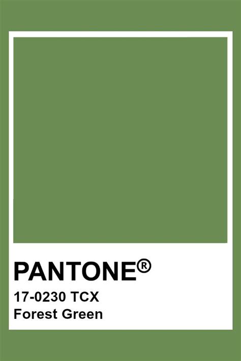 The Pantone Green Color Is Shown