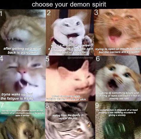 Which One Are You Meme Made At 3am Accutane