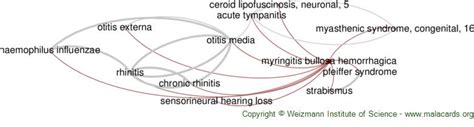 Myringitis Bullosa Hemorrhagica Disease Malacards Research Articles