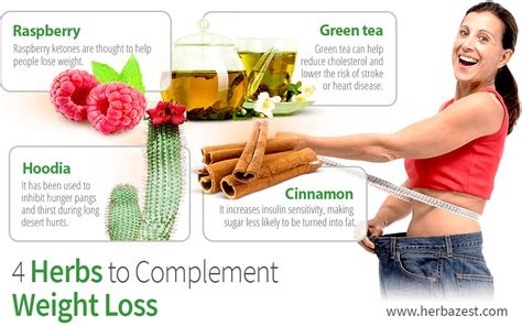4 Herbs To Complement Weight Loss Herbazest