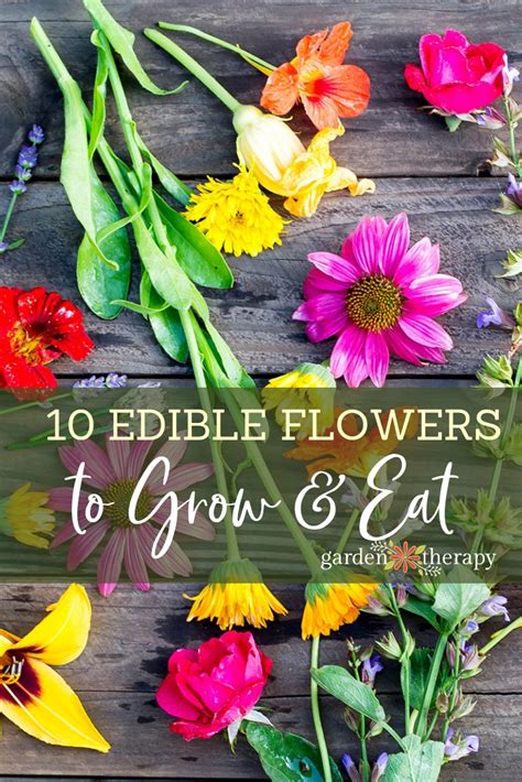 The Ten Best Edible Flowers To Grow In Your Garden