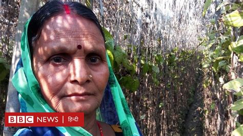 बिहार मगहिया पान के किसान बेबस होकर रो क्यों रहे हैं bbc news हिंदी