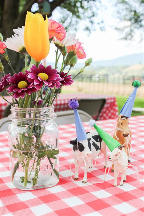 Simple Affordable And Easy Farm Birthday Party Ideas