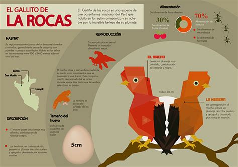 Infografía Ngallito De La Rocas On Behance