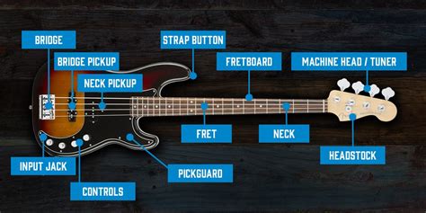 Electric Bass Guitar Guide Andertons Music Co