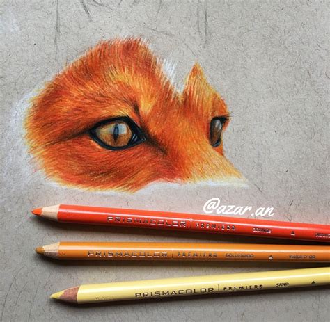Colored Pencils Fox Drawing Art Fox Drawing Art Drawings Drawings