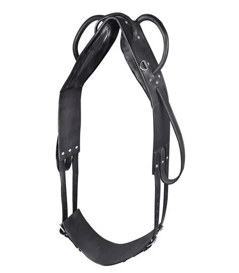 Waldhausen Vaulting And Lunging Surcingle Your Saddlery