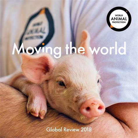 2018 Global Review By World Animal Protection Canada Issuu