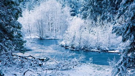 Download Wallpaper 1920x1080 Winter River Snow Trees Landscape Full
