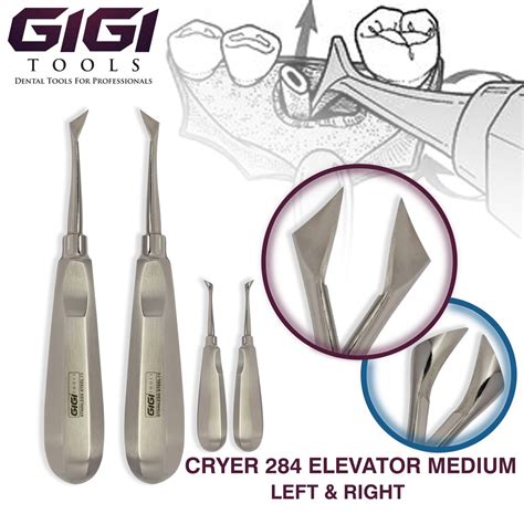Gigi Tools Dental Cryer 284 Elevator Regular Left And Right Dental Root