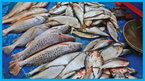Fish Shop Near Me - Where To Buy Fresh Fish Near Me - How to find the