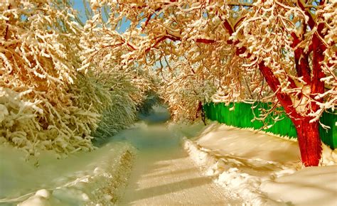 Wallpaper Sunlight Water Snow Winter Fence Pathway Tree Autumn