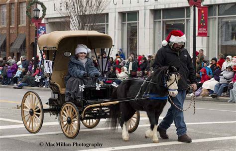 Christmas Carriage Parade Ushers In Holiday Spirit With Equestrian