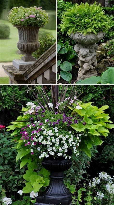 17 Beautiful Container Garden Ideas And Plant Pots Container