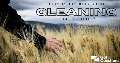 What is the meaning of gleaning in the Bible? | GotQuestions.org