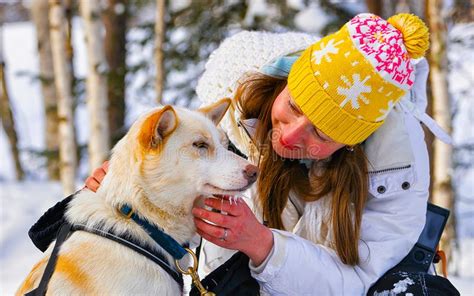 Girl And Husky Dog In Lapland In Finland Reflex Stock Photo Image Of