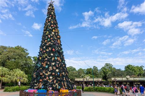 Disneys Animal Kingdom Christmas Holiday Decor 2020 Photo 6 Of 46