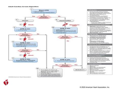 Aha 2020 Adult Cardiac Arrest Algorithmpptx