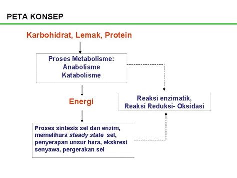 I Metabolisme Mikroba Peta Konsep Karbohidrat Lemak Protein