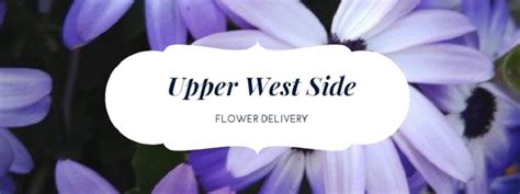One downside, however, is the distance to a supermarket. The 8 Best Options for Flower Delivery in Upper West Side ...