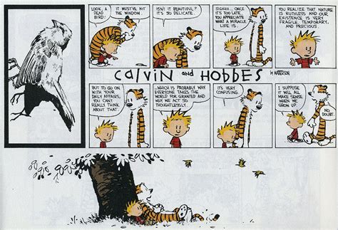 11 Calvin And Hobbes Life Is A Miracle
