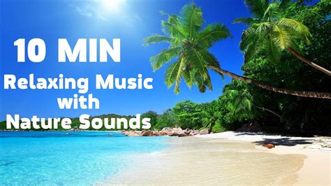 10 Minutes Relaxing Music With Nature Sounds Youtube