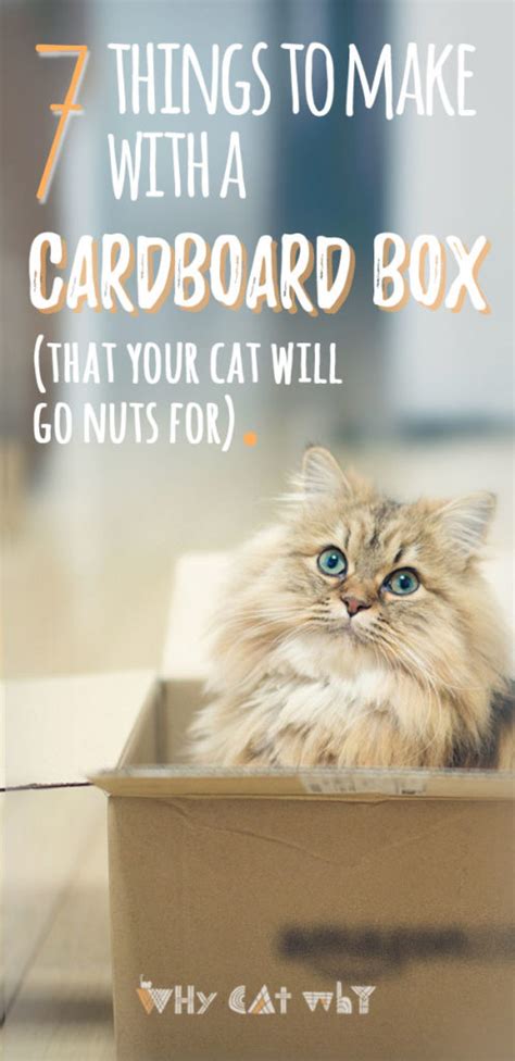 7 Things You Can Make With A Box That Your Cat Will Go