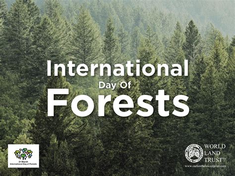International Day Of Forests 21st March Carbon Balanced Paper