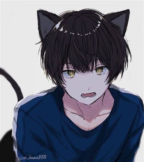 Animeboy Neko Anime Cat Boy Cute Anime Guys Anime