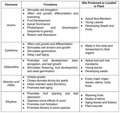 Plant Hormones Filipiknow