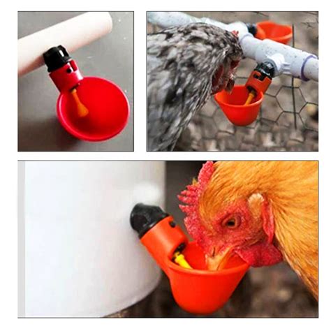 Livestock Supplies 10pcs Horizontal Chicken Nipples Waterer Automatic Poultry Drinker Household