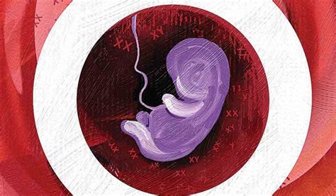 Ncrb Data Haryana Tops In Pre Natal Sex Determination Cases The Indian Express