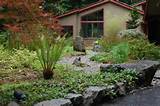 Landscape Plants Pacific Northwest