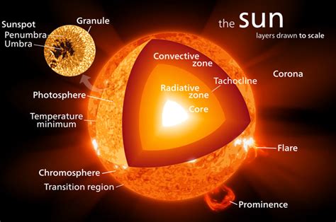 Check spelling or type a new query. 1 - How the Sun Works: An Observer's Guide | AstronomyConnect