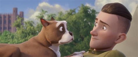 The film currently holds an 88% tomatometer score on film review aggregator rotten tomatoes and has despite the initial theatrical setback, sgt. Sgt. Stubby: An American Hero movie review (2018) | Roger ...