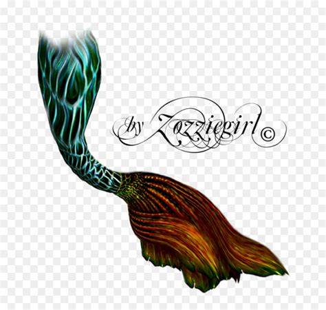 Png Mermaid Tails Transparent Png Vhv