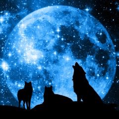 Visit ps4wallpapers.com in the ps4 browser. Wolves and Moon Theme on PS4 | Official PlayStation™Store US