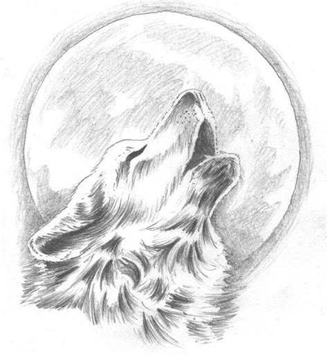 Howling Wolf With Moon Background Graphite Esbozo De Lobo Lobos