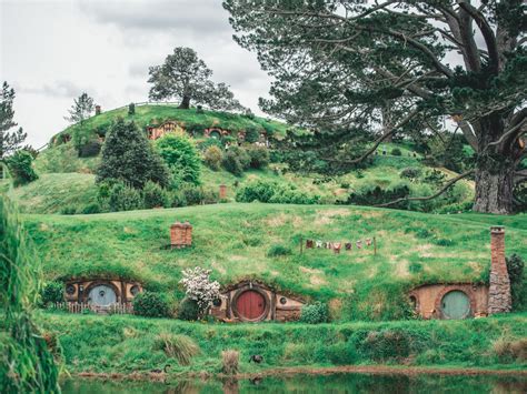 Hobbiton With Kids Things To Know Before You Go