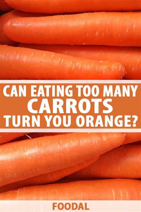 Can Eating Too Many Carrots Turn You Orange Foodal